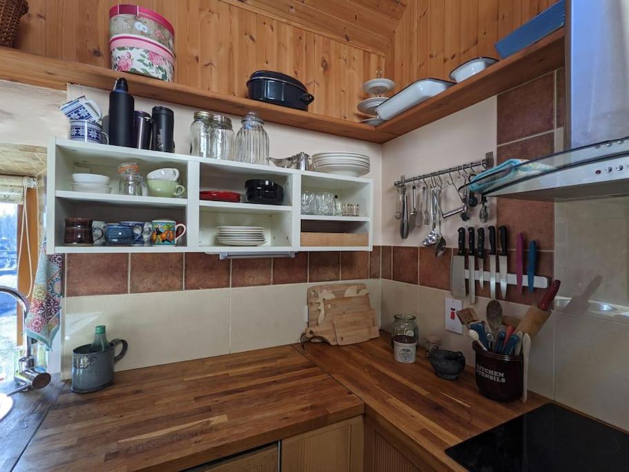 Secluded Private Cottage Hot-Tub, Sauna & Fire-Pit Carrick-on-Shannon Exterior photo