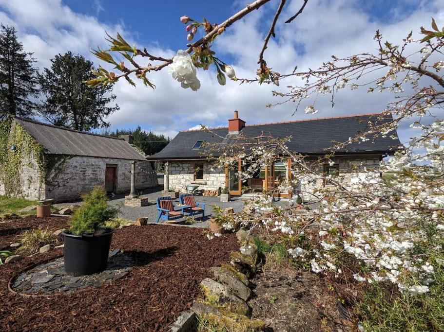 Secluded Private Cottage Hot-Tub, Sauna & Fire-Pit Carrick-on-Shannon Exterior photo