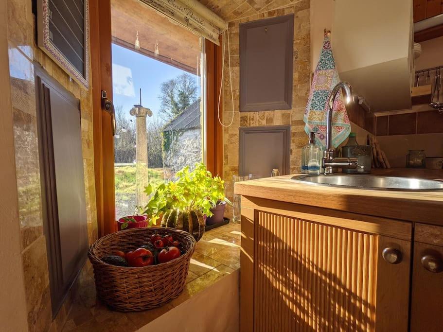 Secluded Private Cottage Hot-Tub, Sauna & Fire-Pit Carrick-on-Shannon Exterior photo