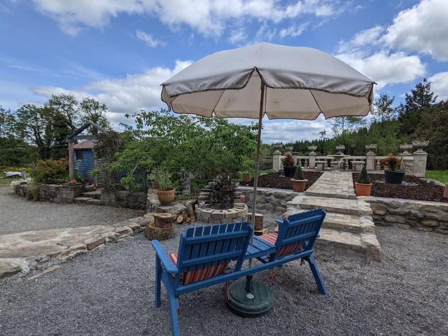Secluded Private Cottage Hot-Tub, Sauna & Fire-Pit Carrick-on-Shannon Exterior photo
